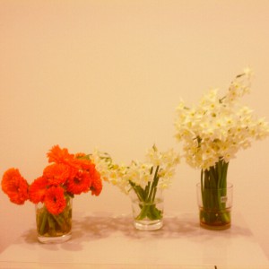 お花たち