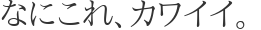 なにこれ、カワイイ。 